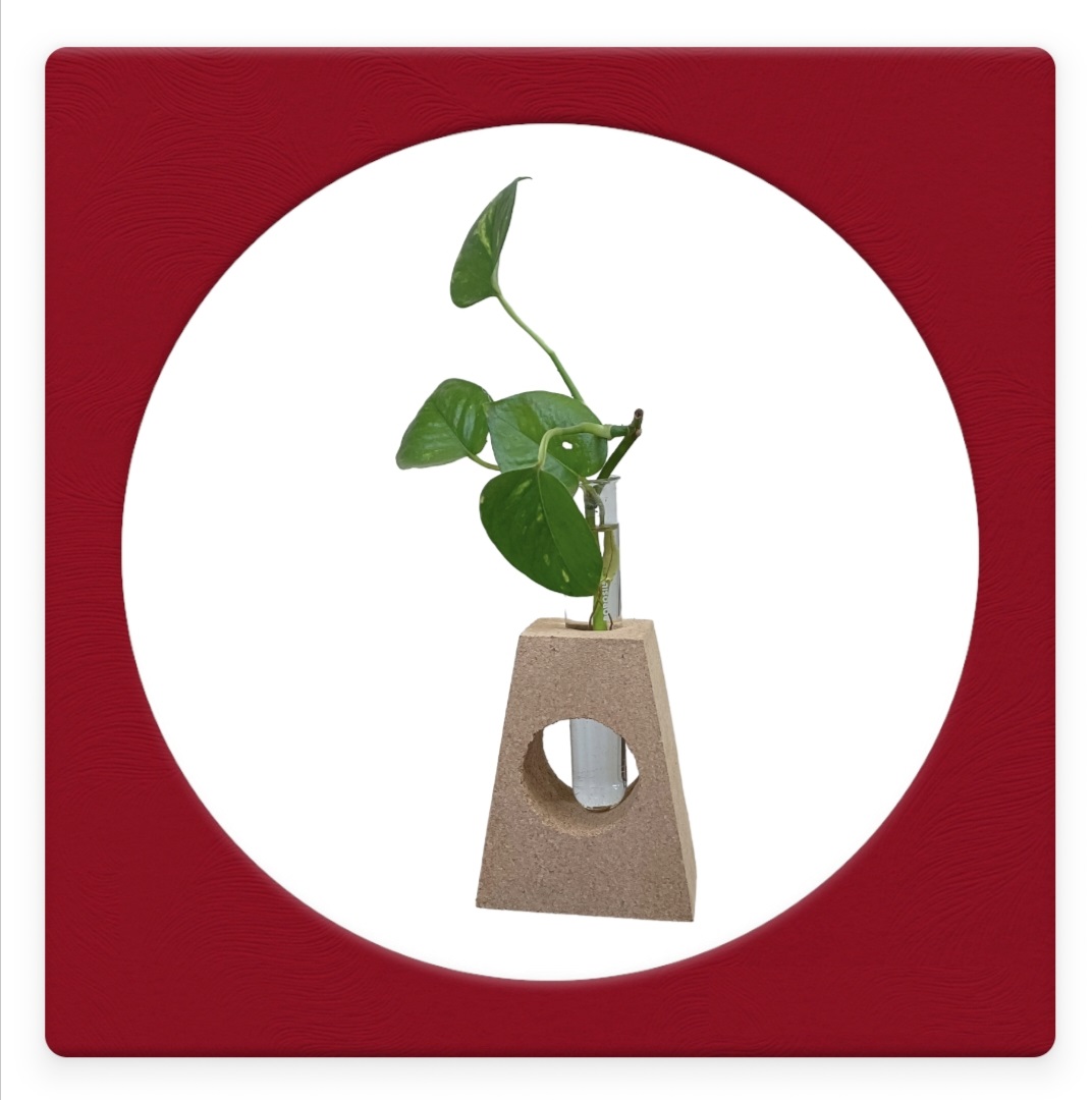 Cork Planter 6